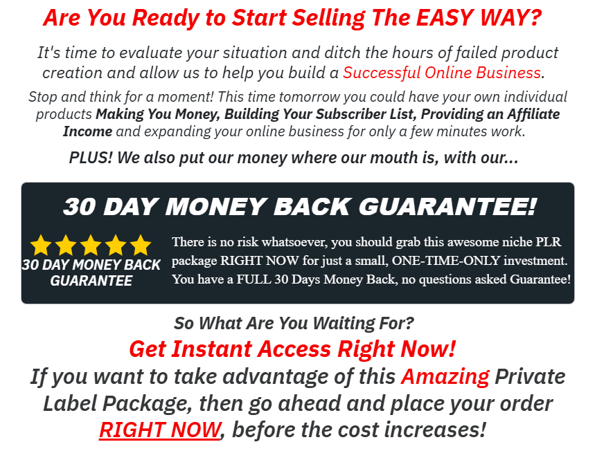 The AI Income Blueprint Review