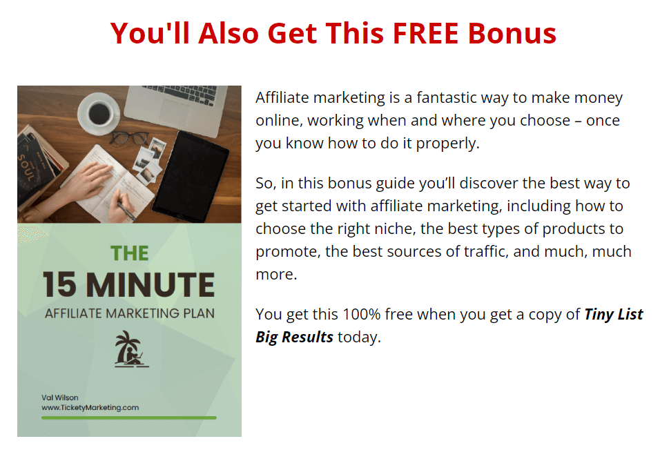Tiny List Big Results Review