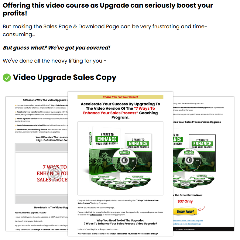 (PLR) Online Profit Vault Review