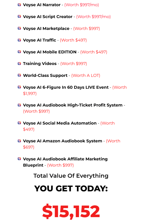 Voyse AI Review