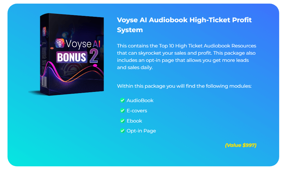 Voyse AI Review