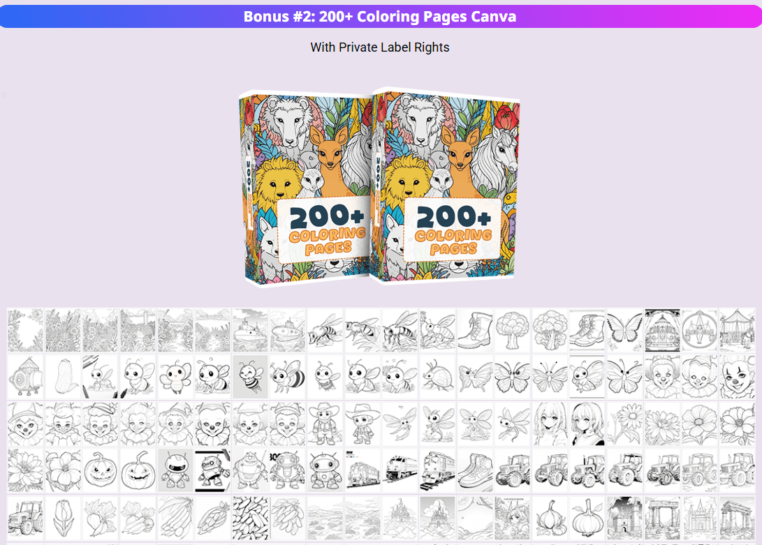 Monster PLR Library Review