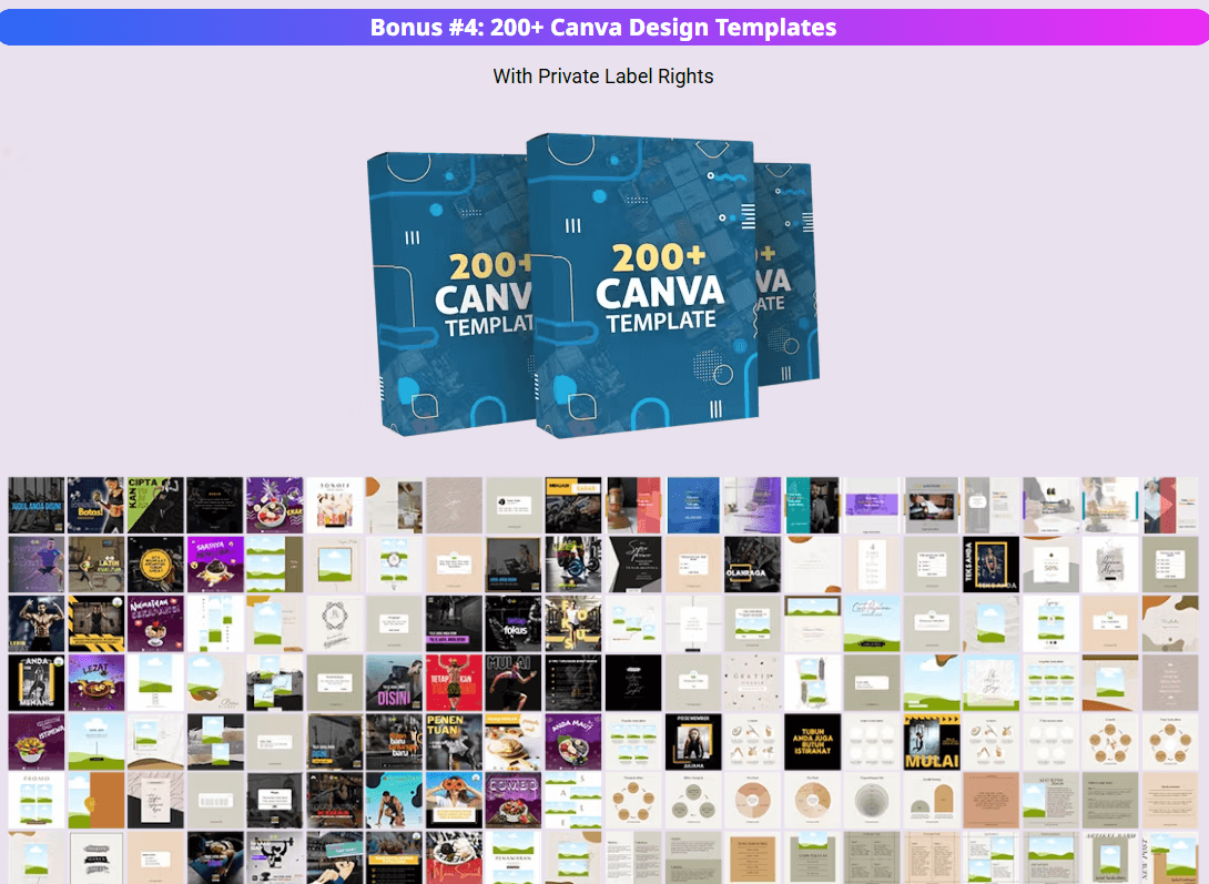 Monster PLR Library Review