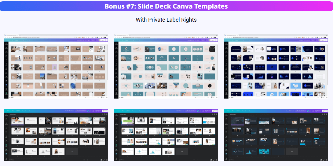 Monster PLR Library Review