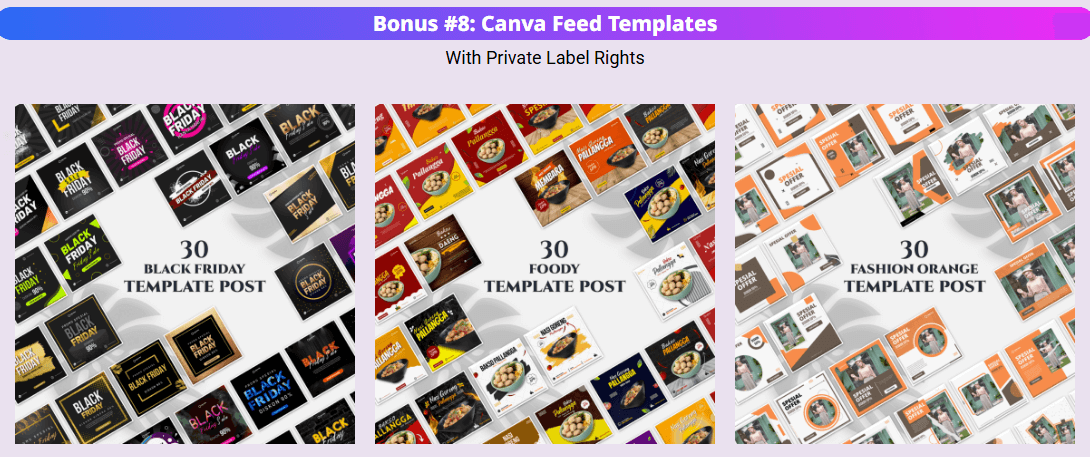 Monster PLR Library Review