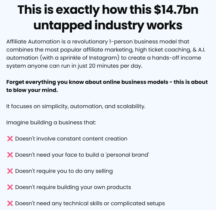 The Affiliate Automation Academy Review