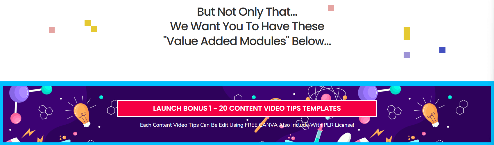 VidCurious Review