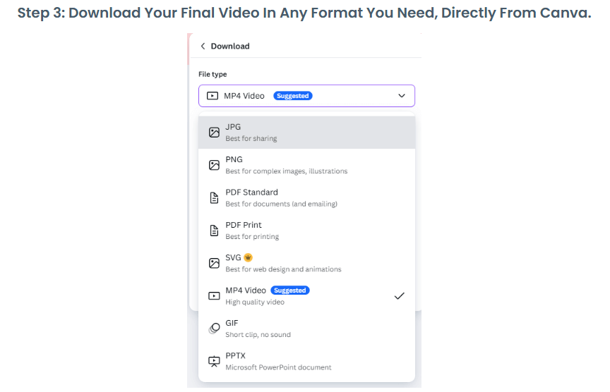 VidCurious Review