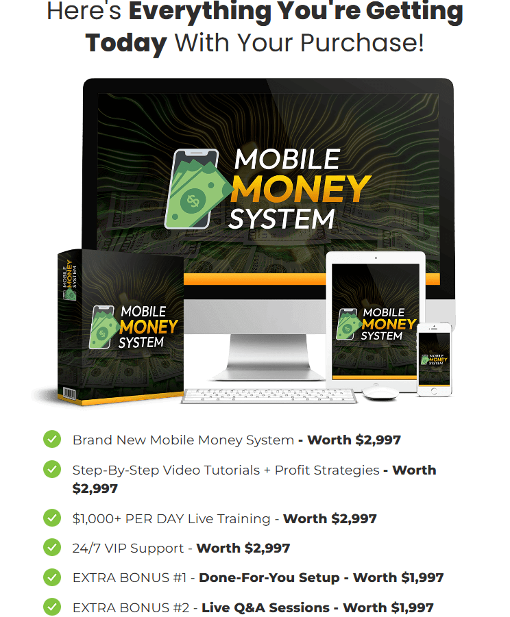 Mobile Money System Review