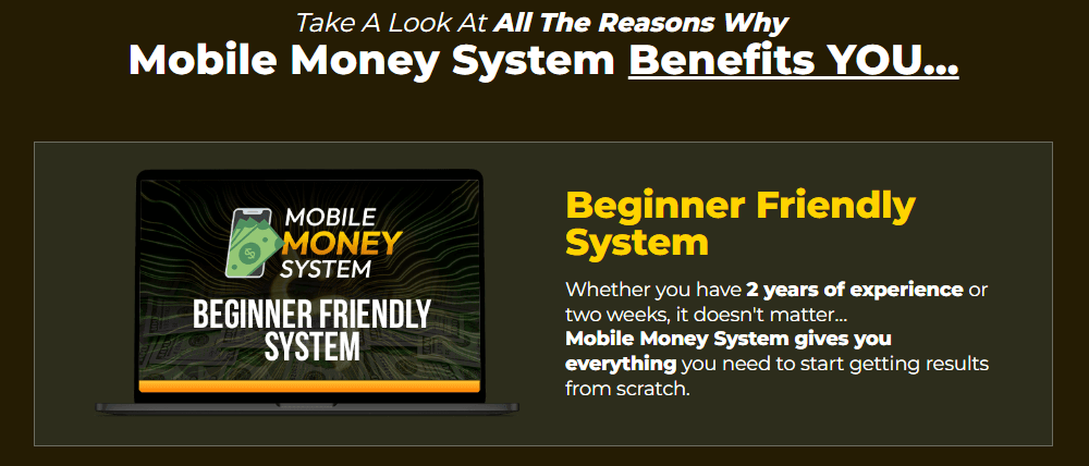 Mobile Money System Review