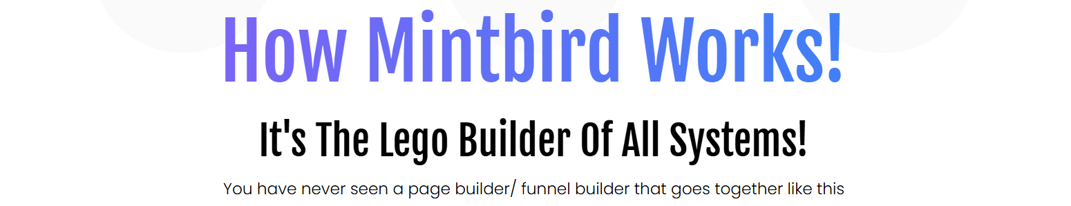 Mintbird Review