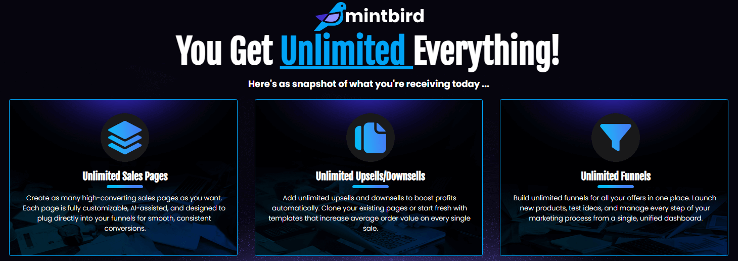 Mintbird Review