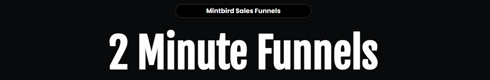Mintbird Review