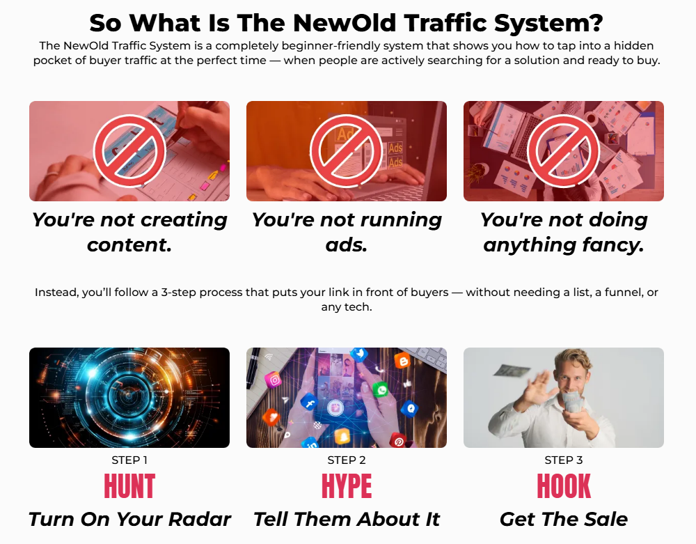 NewOld Traffic System Review