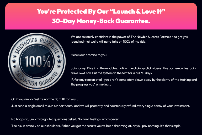 Newbie Success Formula Review