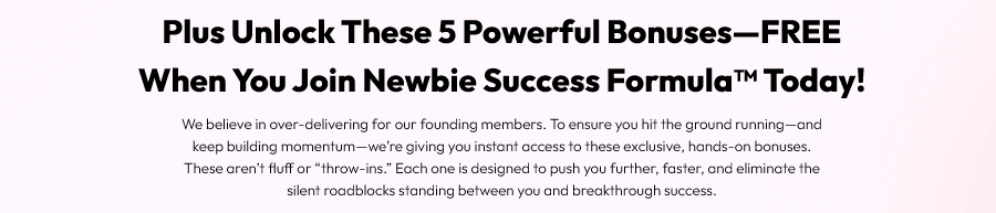 Newbie Success Formula Review