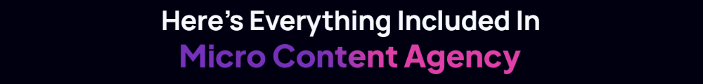 Micro Content Agency Review